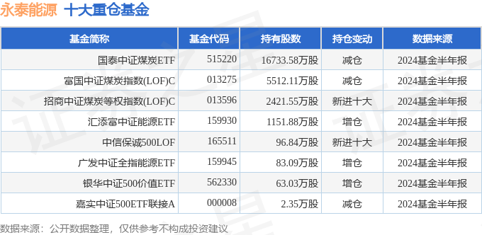 央企重组永泰能源2024,实证研究解释定义_Lite60.852