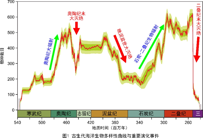 一肖一码一中一特,科学研究解析说明_探索版49.98