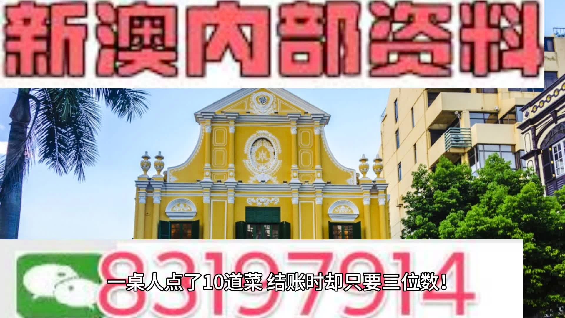 2024新澳最精准免费资料,详细解读解释定义_尊贵款70.874