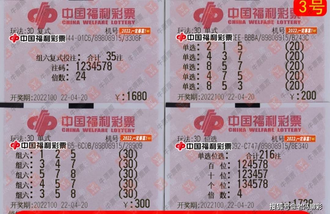 王中王100%免费资料大全｜迅速执行设计方案_复刻款80.225